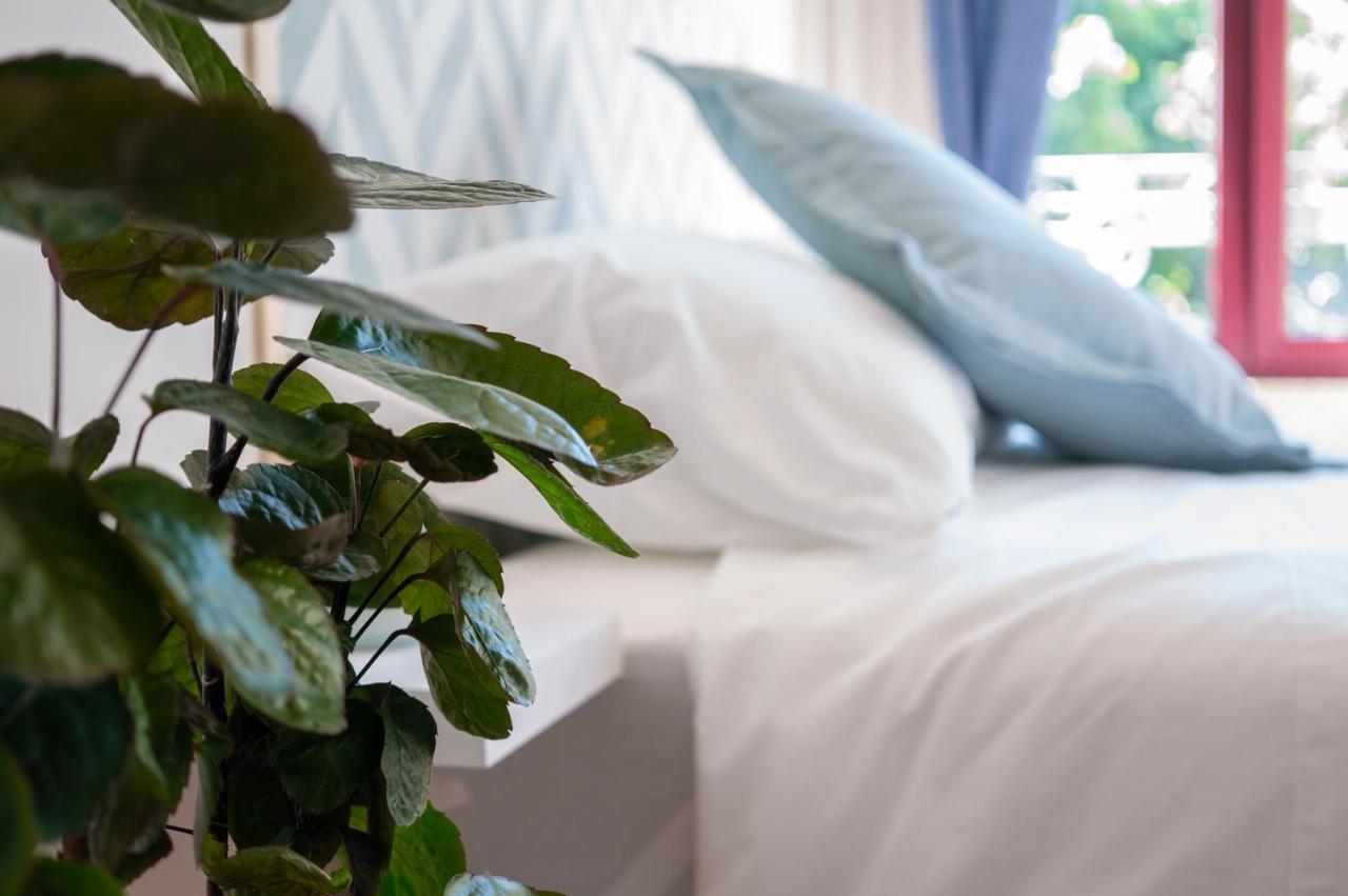 Jardim De São Lázaro - Apartamento