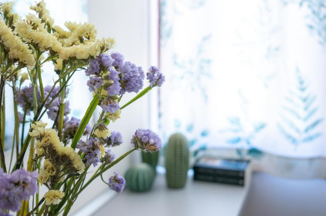 Apartamento Jardim De São Lázaro - Porto